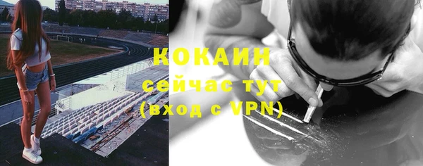 мет Бородино
