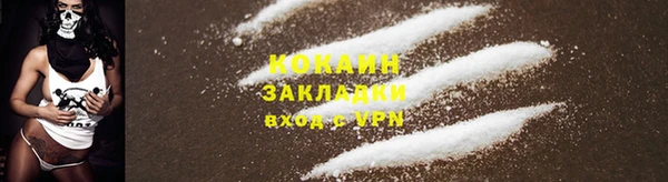 мет Бородино