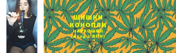 мет Бородино